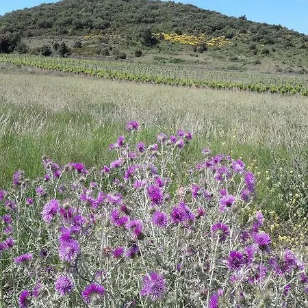 Le Clos Des Rosalines à Durban-corbières Durban-Corbieres