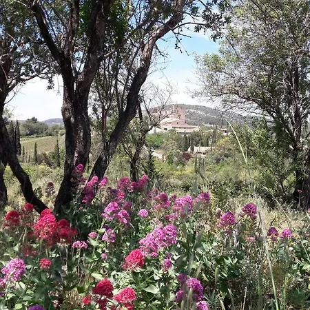 Le Clos Des Rosalines à Durban-corbières *